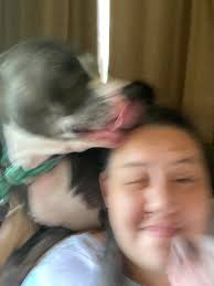 What to do if your spouse shows up with a "surprise" & it's a dog. He shows  me & the kids at the same time. Of course the kids are excited &