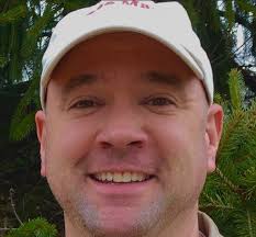 Wasp, Hornet, and Bee Removal