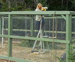 I read several reviews that suggest any hole pattern larger than 1/2 x 1/2 will let the raccoons chew thru. How To Build A Predator Proof Chicken Run The Old Farmer S Almanac