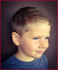 Try Easy Toddler Haircut 204178 Haircuts For Toddlers Boys Ashton Michael Pinterest Using Step By Step Hair Boy Haircuts Short Boys Haircuts Boys Fade Haircut