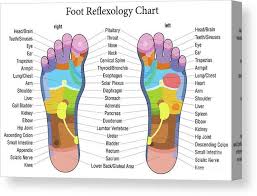 Foot Reflexology Chart Description Canvas Print Canvas Art By Peter Hermes Furian Reflexology Foot Chart Reflexology Chart Foot Reflexology