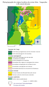 Image result for Globimetula kivuensis
