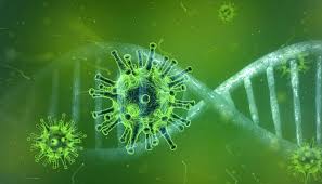 Borre van lombergen (22) lijdt aan ms. 3 Veelgestelde Vragen Over Het Coronavirus