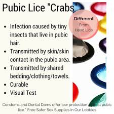 Image result for pubic lice symptoms