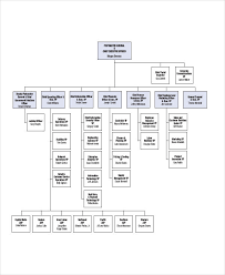 60 Unfolded Resort Hotel Organizational Chart