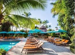 Unser Paradies Miami Palmshotelmiami Paradies Paradise Palmtrees Pool Miami Spas Palms Hotel Miami Palms Hotel