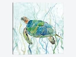 Draw the head and eyes, use small circles for drawing eyes. Sea Turtle Swim Ii Canvas Art By Carol Robinson Icanvas