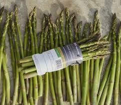 When you buy them they look rather sorry for themselves, rather shriveled and insignificant but that it how they should be. First British Asparagus Arrives At Waitrose