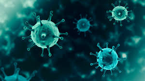 No doubt, viruses indeed do exist, but to a much lesser extend than some interest groups want us to believe! Hide And Seek Understanding How Covid 19 Evades Detection In A Human Cell Argonne National Laboratory