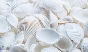 From wikipedia, the free encyclopedia. What S Your Favorite Shell For Sysadmin Work Enable Sysadmin