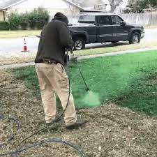 Video Your Grass Will Always Be Green Funny Grass Paint Man Color Green Lawn Get Off My Lawn Life Tv