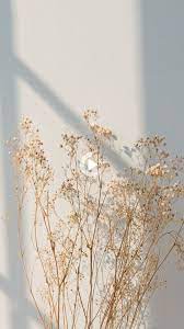 Cream Aesthetic Wallpaper Iphone In 2021 Color Wallpaper Iphone Floral Wallpaper Iphone Aesthetic Iphone Wallpaper