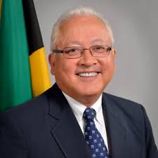 Grace Ann Stewart McFarlane