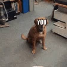 You can make high quality animated gif images online for free, with simple and powerful customization options. You Joke Not Affected Gif Youjoke Notaffected Idontcare Discover Share Gifs