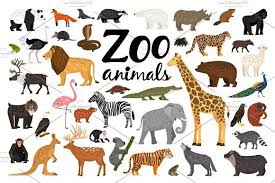Zoo Animals Zoo Animals Animals Images Animals