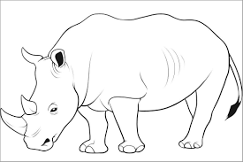 You can use our amazing online tool to color and edit the following rhinoceros coloring pages. Printable Rhino Coloring Page Coloringbay