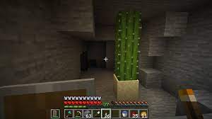 Thank you, from watching cactus grow, it does seem to be around (rounding, oh snap.) a day for cacti to grow. So There S Lots Of Endermen Around Our Server And In A Cave I Was Exploring One Must Have Put Down Sand And Another Put Down A Cactus Block Seems To Be Growing