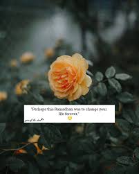 Image May Contain Flower And Nature Instagram Islamic Quotes Image