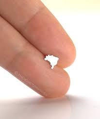 The rio de janeiro botanical garden incorporates rare works of art into the landscape and there is a historical trail where you can read about the history of the perhaps nothing defines a rio de janeiro vacation better than a day at the beach. Brazil Earrings I Heart Brazil Brazil Map Studs Rio De Etsy Stud Earrings Earrings My Heart