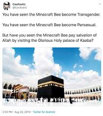 This is some ridiculous joke that people took too serious, not sure how this got so much attention but many people thought. The Minecraft Bee Is Trans Know Your Meme