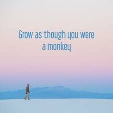 See more ideas about inspirational quotes, quotes, bad quotes. 49 Inspirobot Ideas Inspirational Quotes Quotes Bad Quotes