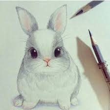 Pin By Emilia St Jon On Drawing Cute Drawings Animal Drawings Bunny Drawing