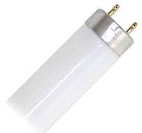 General 21779 - FO32/835/ECO SHATTERPROOF COATING 4 Foot Plus Straight T8  Fluorescent Tube Light Bulb
