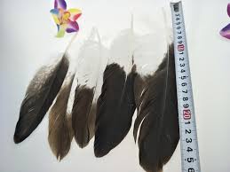 Streamers of weasel fur and cloth dangle from headband sides. New Wholesale 20pcs Scarce Natural Golden Eagle Feathers 2 11inch 5 27cm Jewelry Accessories Stage Performance Decoration Diy Eagle Feathers Golden Eagle Feathersfeather Decor Aliexpress
