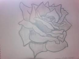 As a beginner it can be daunting just picking up a pencil and starting to draw. Contour Rose Drawing