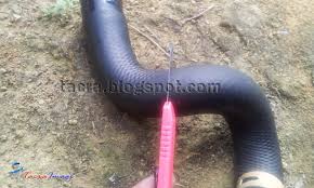 We did not find results for: Tacra S Diy Garage Water Temp Gauge For Viva
