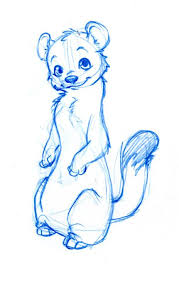 Ermine Sketch Interesting Drawings Cartoon Drawings Cute Drawings