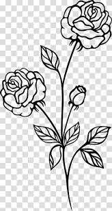 Black Rose Black And White Botanical Flowers Transparent Background Png Clipart In 2020 Black And White Roses Black Rose Flower Line Drawings