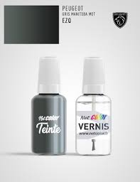 Image result for Gris Manitoba 2014 Peugeot