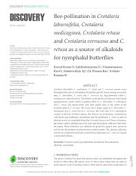 Image result for Crotalaria argyrolobioides