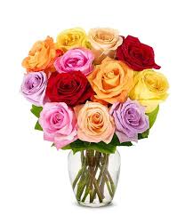 Get same day delivery on flowers, gift baskets and more. One Dozen Rainbow Roses At From You Flowers