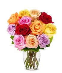 Ordering online has never been easier. One Dozen Rainbow Roses At From You Flowers