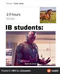 What is horse sleeping like? Facebook
