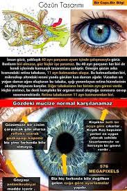 Google Bilgi Saglik Caps