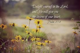 Image result for images delighting in the lord