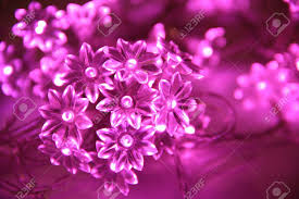 Add them anywhere around our home for an instant relatively hard to get hold of, you can purchase pink fairy lights with confidence from us, knowing. Pink Fairy Lights Stock Photo Picture And Royalty Free Image Image 13933421