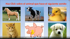 Videos para aprender español online gratis, español por niveles. Juego Interactivo Con Los Sonidos De Animales Juegos De Ordenar Animales Actividades Para Ninos