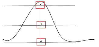 Image result for Thomandersia laurentii