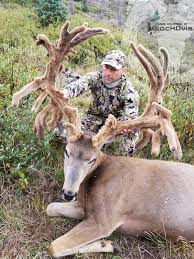 Bones that grow from the skull covered in proteins such. Pope Young Crowns The World Record Mule Deer Rokslide