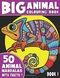 Download The Big Animal Colouring Book 50 Unique Animal Mandalas With Captivating Facts Book 1 Coloring King 9781913712068 Amazon Com Books