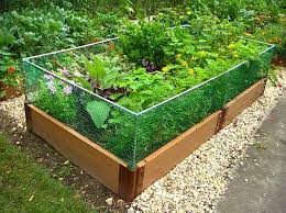 The bener deer fence company offers the best deer fencing system available. Raised Bed Gardening Pine Cove Water District