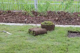 Gartenwalze boden ebnen rasen neu anlegen mit einer bodenwalze rasenwalze *meine gartenwalze: Rasenflache Ebnen 4 Methoden Zum Begradigen Gartenlexikon De