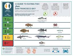Safe To Eat Fish From The San Francisco Bay San Mateo