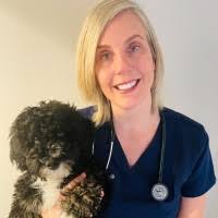 20+ "Mittelsteadt" profiles