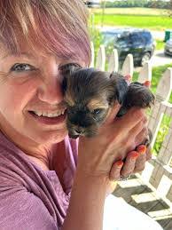 Bobbi Carr's Instagram, Twitter & Facebook