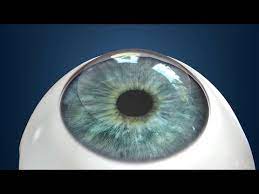 Confused about the cost of lasik in 2021? Lasik Chicago Lasik Eye Surgery Chicago Kraff Eye Institute